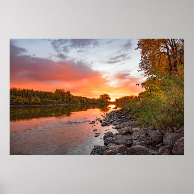 36x24 Wall Poster (Front)