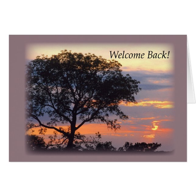 3748 Welcome Back Tree Sunset (Front Horizontal)