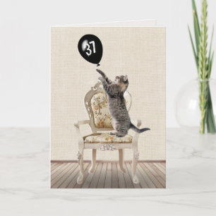 37th Birthday Tabby Cat on Chair  Card
