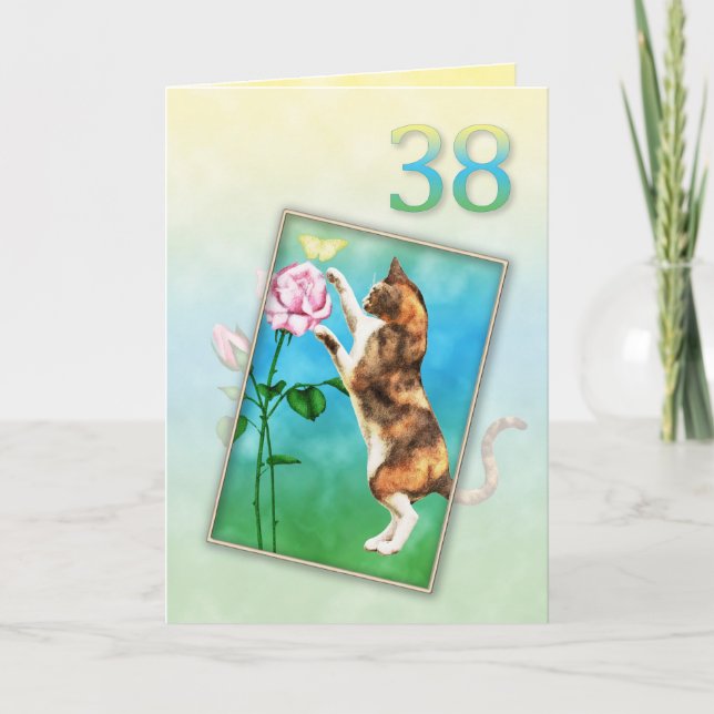 38th Birthday with a playful cat Card (Front)