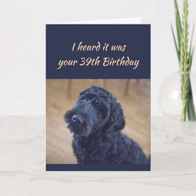 39th Birthday Fun Cute Black Curly Dog Pet Card (Front)
