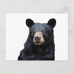 3 (10) POSTCARD