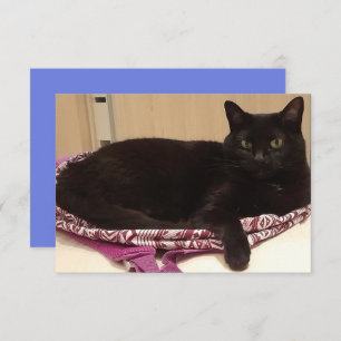 3.5" x 5" Flat Greeting Card