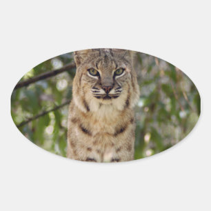 3.5x3.5-Template-Oval Magnet Oval Sticker