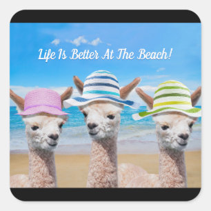3 Alpacas Life Is Better At The Beach! DIY Message Square Sticker