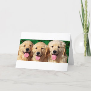 3 Amigos Card