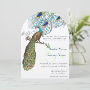 3 Aqua Peacock Vintage Feathers & Bird Invitation