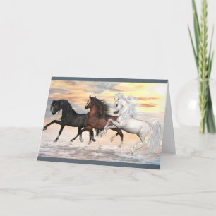 3 Arabians Greeting Card, white envelopes included Card