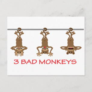 3 Bad monkeys Postcard