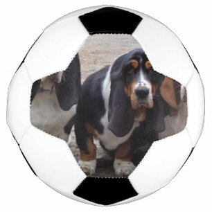 3 Basset_hound_puppies Soccer Ball