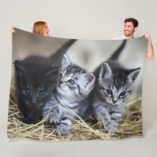 3 BLUE EYED KITTENS FLEECE BLANKET (In Situ)