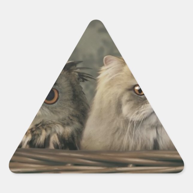 3 Cats and a Owl in a Basket Triangle Sticker (Front)