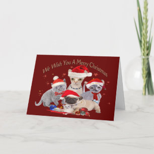 3 cats and a pug cards