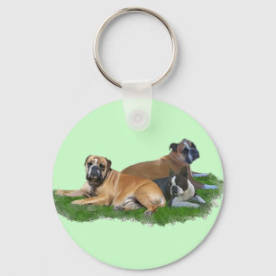 3 cherubs key ring