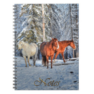 3 Chestnut, White & Dun Ranch Horses & Snow Forest Notebook