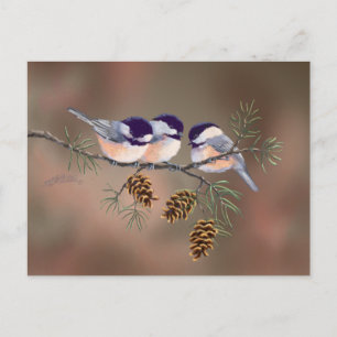 3 CHICKADEES & PINE CONESby SHARON SHARPE Postcard