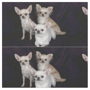 3 chihuahuas fabric
