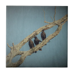 3 Crows Ceramic Tile