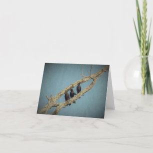 3 Crows Greeting Card