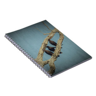 3 Crows Notebook