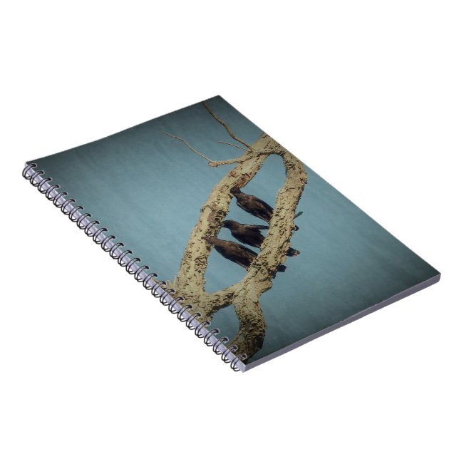 3 Crows Notebook (Right Side)