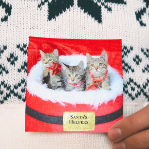 3 Cute Kittens Santa's Little Helpers