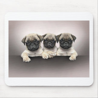 3 Cute Pug Pippies Mouse Pad