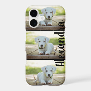 3 Dog Photo Collage Template