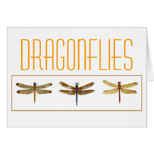 3 Dragonflies.