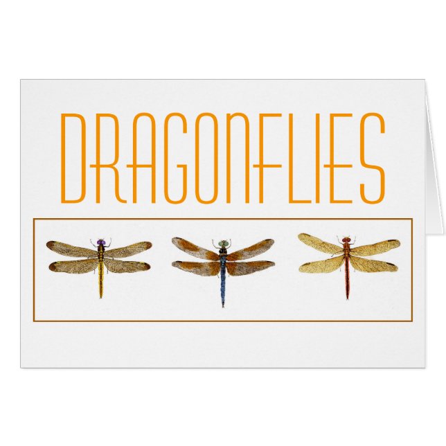 3 Dragonflies. (Front Horizontal)