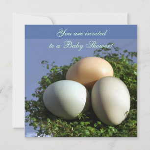 3 Eggs Invitation