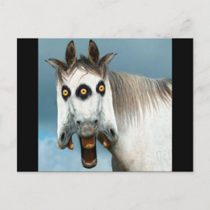 3-Headed Horse Postcard