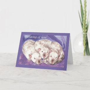 3 Himis Thinking of You Card