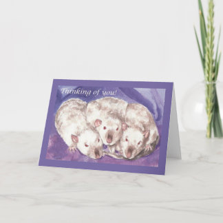 3 Himis Thinking of You Card