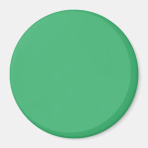 3 Inch Round Fridge Magnet: Medium Sea Green. Magnet