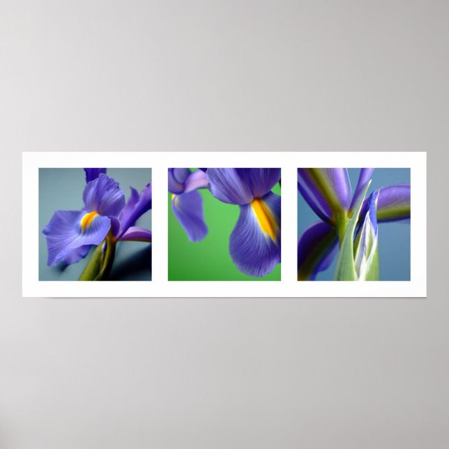 3 Irises Poster (Front)