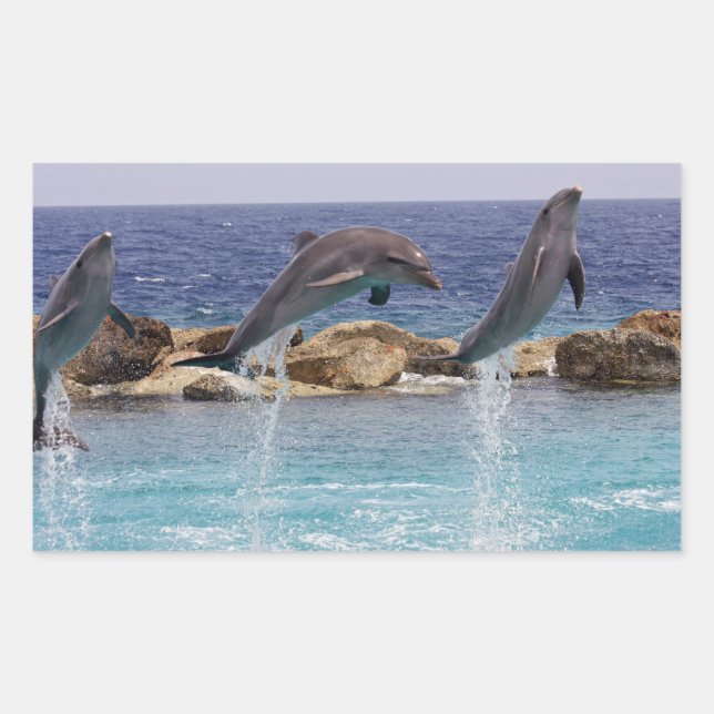 3 jumping dolphins rectangular sticker (Front)