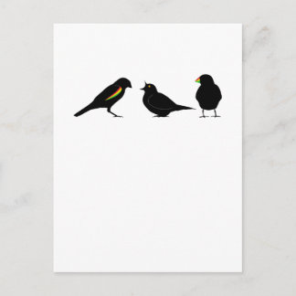 3 little birds by erndub postcard