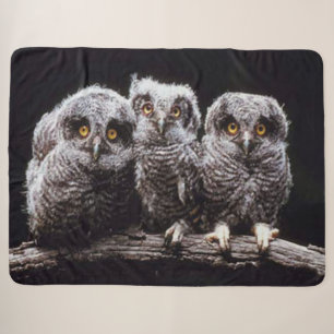 3 LITTLE OWLS SHERPA BLANKET