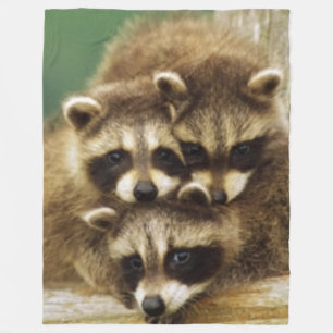 3 LITTLE RACCOONS FLEECE BLANKET