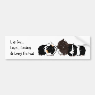 3 long haired piggies bumper sticker