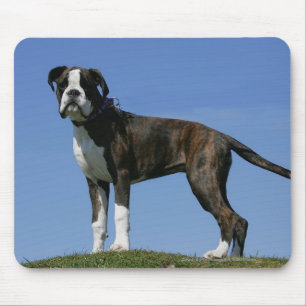 3 Month Old Boxer Puppy Mouse Pad