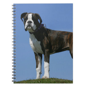 3 Month Old Boxer Puppy Notebook