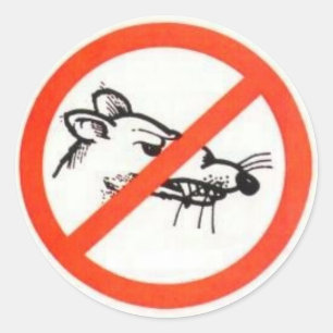 3" No Rat sticker
