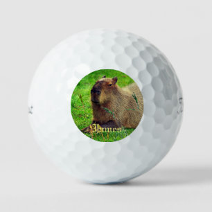 3 Pack Fun Personalised Capybara Animal Golf Balls