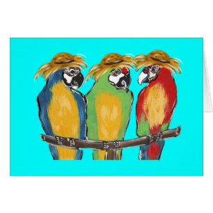 3 Parrots