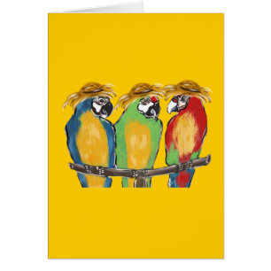 3 Parrots