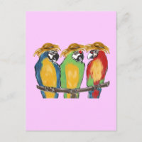 3 Parrots