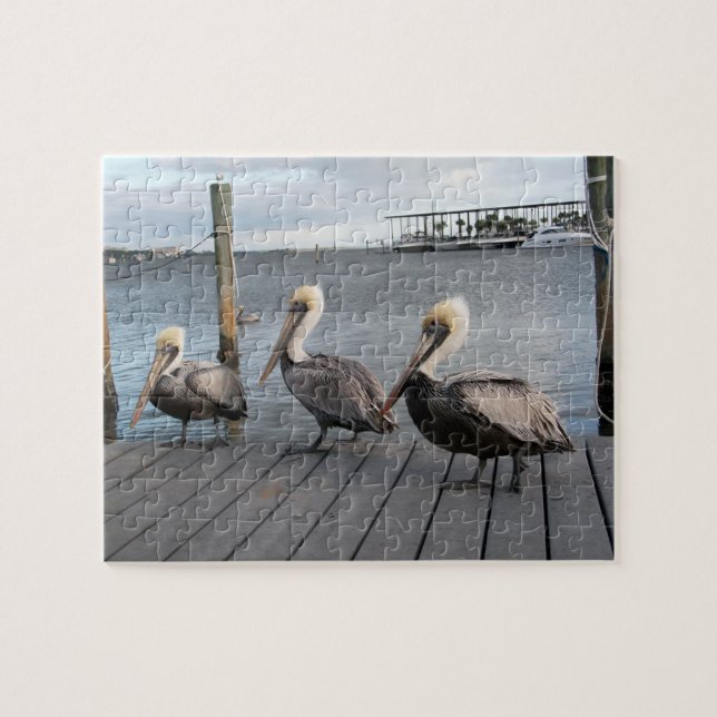 3 Pelicans in a row Jigsaw Puzzle (Horizontal)