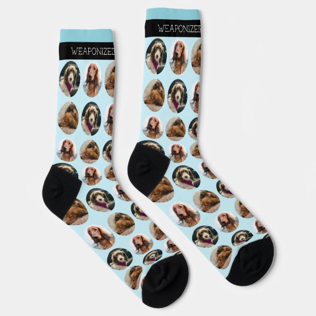 3 Photo Dachshund Crew Socks (Right)